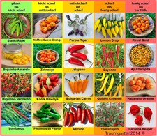 Semi di peperoncino 20