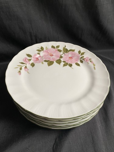 Piatti winterling - 6,