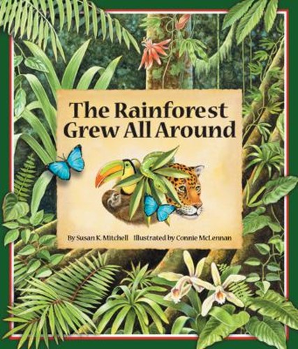 The rainforest grew all around - rainforest,