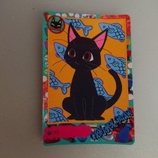 CARDDASS 33 AI YAZAWA storia