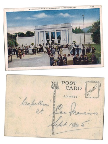 Postcard steinhart aquarium - -,
