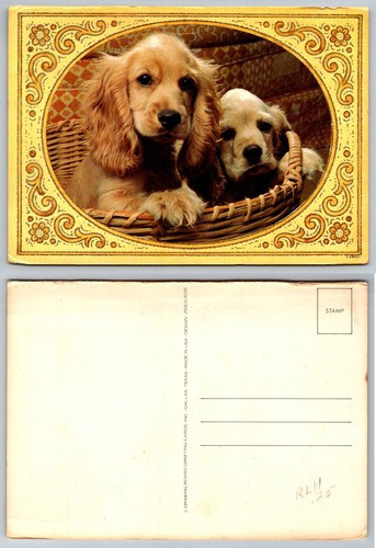Cartolina epoca cuccioli - cartolina,