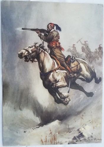 Cartolina cavalleria coloniale - cartolina,