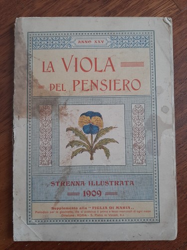 Viola del pensiero - viola,