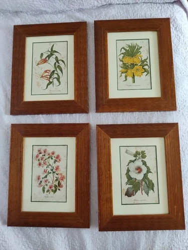 Quattro quadri con stampe