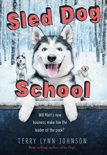 Sled dog school - sled,