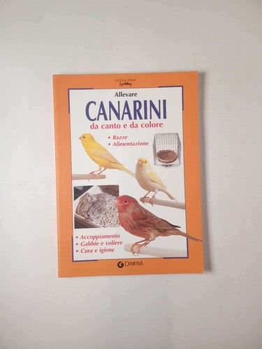 Allevare canarini canto - canarini, e