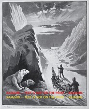 Cane Alaskan Malamute cani da slitta e orsi polari a Natale, stampa antica anni 1890