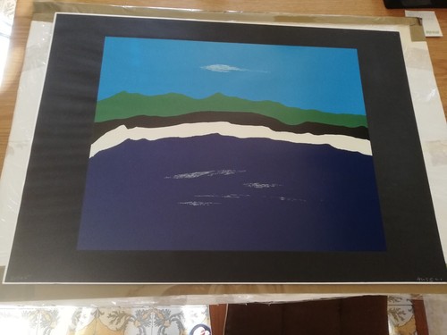Franco angeli serigrafia 6 - franco,