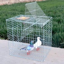 Trappola per uccelli cattura
