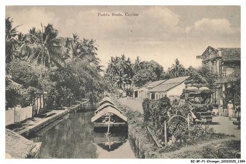 Bfp1 0693 sri - bz-bfp1-0693-sri-lanka,