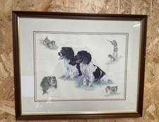 Stampa Nigel Hemming Springer