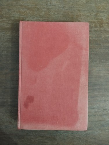 Nome della rosa - rosa, eco