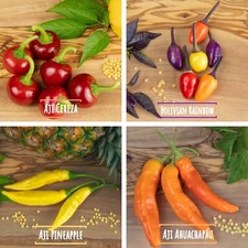 Semi di peperoncino Mix - Set