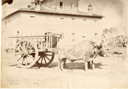 Italia carro trainato - carro,