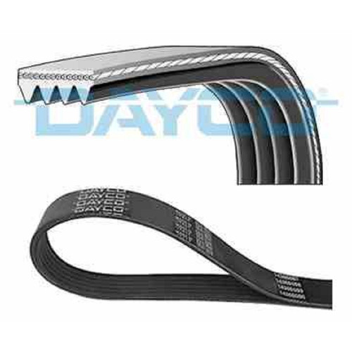 Cinghia servizi dayco - -, 4pk668