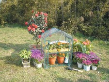 SERRA DA GIARDINO ACCIAIO TELO