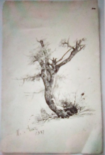 Nicola ascione disegno a - ascione,