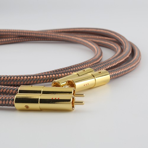 Coppia accuphase 40th - accuphase,