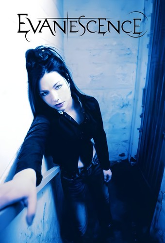 Poster 69x16 evanescence - 11,69x16,54,