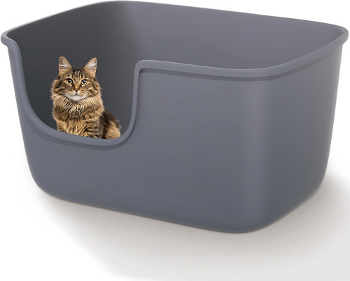 Lettiera per gatti con bordi - gatti,