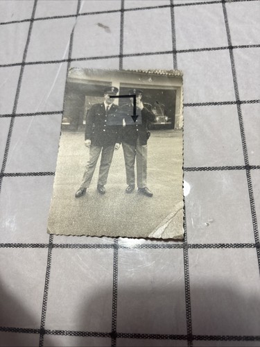 Polizia reparto celere - reparto,