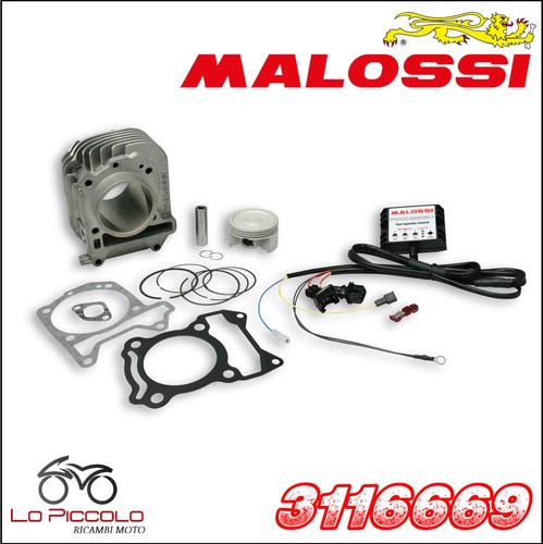 3116669 malossi gruppo termico - malossi,
