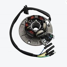 Statore Magnete per motore YX 160 pitbike minigp ovhale motard cross