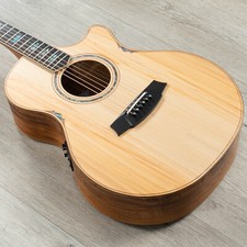 Chitarra acustica-elettrica