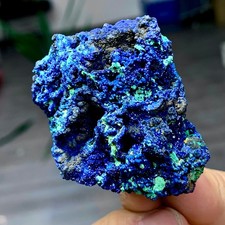 78G MIGLIORI esemplari di