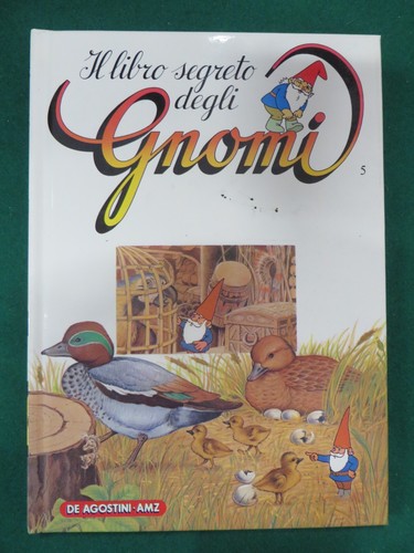 Book libro segreto - libro,