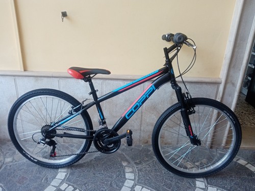 Bicicletta mountain bike - bicicletta, mountain-bike