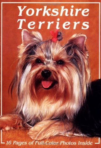 Yorkshire terriers - yorkshire,