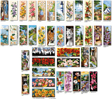 canovaccio SEG mezzopunto 950