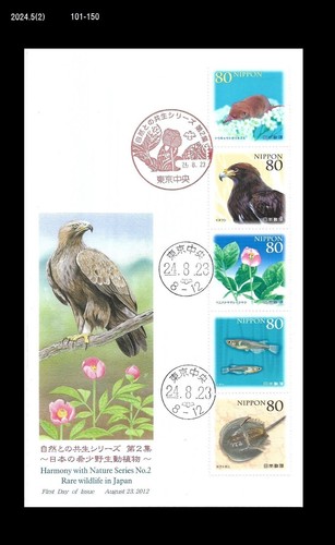 Fauna selvatica aquila - fauna,