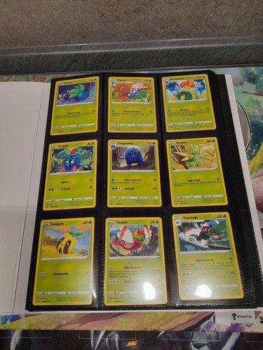 Pokemon zenit regale set semi - regale,