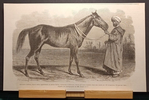 Xilografia originale 1866