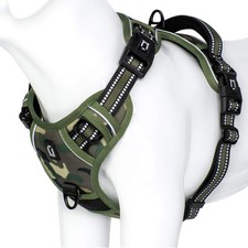 Pettorina Cane Taglia Grande