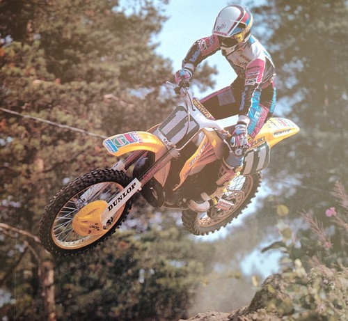 Suzuki 125 250 factory - 250, rh