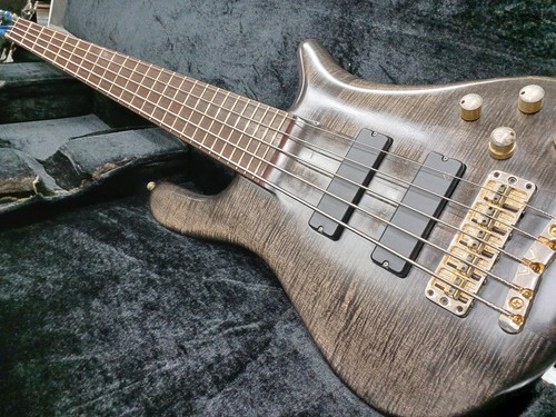 Warwick streamer stage 5st - warwick,