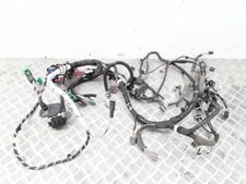 Cavo cablaggio interno Renault