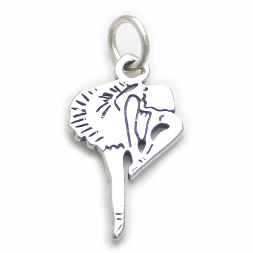 Ciondolo argento sterling - ciondolo,