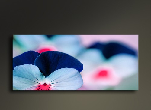 Quadro tela con fiori rosa - su,