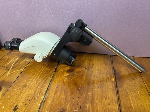 Microscopio zoom stereo leica - microscopio,