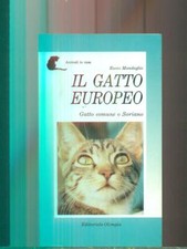 IL GATTO EUROPEO MANDAGLIO