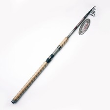 Canna da Pesca Mitchell