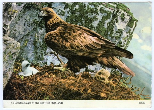1970s scottish highlands - scottish,