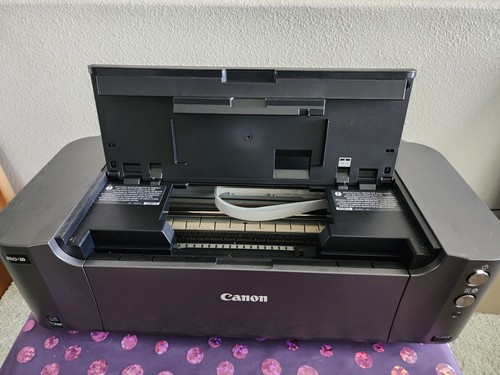 Canon pixma pro digital - pro-10,