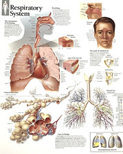 Scientific Publishing ~