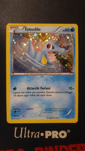 Pokemon tcg totodile holo - pokemon,